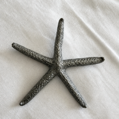 Broche estrella de mar