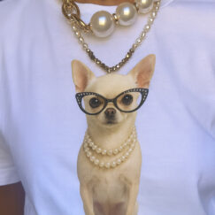 Camisetas Chihuahua gafas