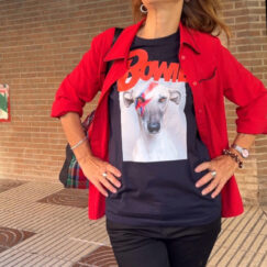 Camisetas Galgo bowie