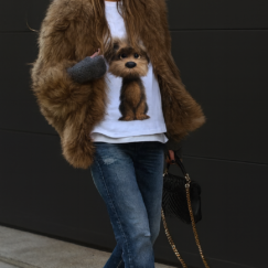 Camisetas perro Peludito