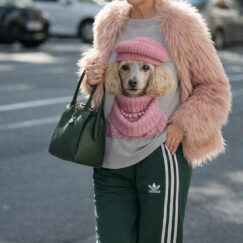 Camisetas Perro abuela rosa